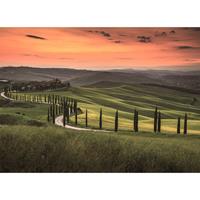 A.S. CREATIONS A.s.creations - DD118652 Tuscany2 Designwalls fototapete mediterran toskana landschaft italien 255 x 350 cm (4 Teile) Jetzt Fototapeten günstig
