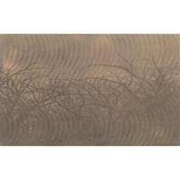 A.S. CREATIONS A.s.creations - DD117920 ThornHedge1 Atelier 47 fototapete grafik natur 270 x 400 cm (4 Teile) Online Fototapeten bestellen - Braun, Grau