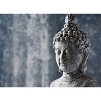 A.S. CREATIONS A.s.creations - DD118666 AsianCulture2 Designwalls fototapete wellness buddha 255 x 350 cm (4 Teile) Fototapeten Online-Shop - Blau, Grau