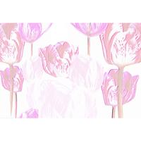 A.S. CREATIONS A.s.creations - DD117935 TulipArt1 Atelier 47 fototapete blumen 270 x 400 cm (4 Teile) Fototapeten Online-Shop - Pink / Rosa, Weiß