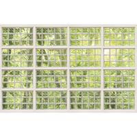 A.S. CREATIONS A.s.creations - DD117955 BricksOfGlas1 Atelier 47 fototapete fenster natur 270 x 400 cm (4 Teile) Online Fototapeten bestellen - Grün, Weiß
