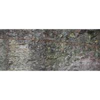 A.S. CREATIONS A.s.creations - DD108725 StoneTrough AP Digital 4 fototapete steinoptik 250 x 600 cm (6 Teile) Jetzt Fototapeten günstig kaufen - Braun, Grau