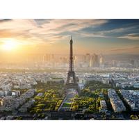 A.S. CREATIONS A.s.creations - DD118684 EiffelTower Designwalls fototapete stadt eiffelturm paris 255 x 350 cm (4 Teile) Fototapeten Online-Shop - Grau, Grün