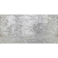 A.S. CREATIONS A.s.creations - DD108730 Roughcast AP Digital 4 fototapete steinoptik betonoptik 250 x 500 cm (5 Teile) Fototapeten online entdecken - Grau, Weiß