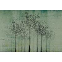 A.S. CREATIONS A.s.creations - DD117995 TreesArtwork1 Atelier 47 fototapete wald natur 270 x 400 cm (4 Teile) Jetzt Fototapeten günstig kaufen - Grün, Schwarz /