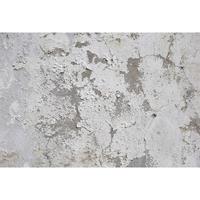 A.S. CREATIONS A.s.creations - DD108755 PaintedWall1 AP Digital 4 fototapete betonoptik 270 x 400 cm (4 Teile) Fototapeten Online-Shop - Grau, Weiß