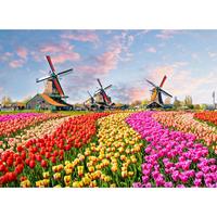 A.S. CREATIONS A.s.creations - DD118694 ZaanseSchans Designwalls fototapete blumen landschaft garten natur 255 x 350 cm (4 Teile) Fototapeten bei BRICOFLOR kaufen