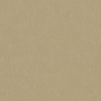 A.S. CREATIONS A.s.creations - Tapete einfarbig Tapete uni Grau Vliestapete Grau 335403 33540-3 - Grau