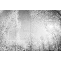 A.S. CREATIONS DD118020 ForestGlade1 Atelier 47 fototapete wald natur wald schwarz weiß 270 x 400 cm (4 Teile) Jetzt Fototapeten günstig kaufen - Grau, Weiß
