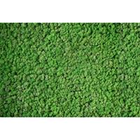 A.S. CREATIONS A.s.creations - DD108835 RealMoss AP Digital 4 fototapete natur 270 x 400 cm (4 Teile) Fototapeten bei BRICOFLOR kaufen - Grün