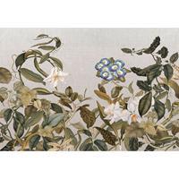 A.S. CREATIONS A.s.creations - DD118070 BotanicSketch1 Atelier 47 fototapete blumen natur 270 x 400 cm (4 Teile) Fototapeten online entdecken - Grau, Grün