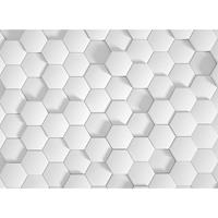 A.S. CREATIONS A.s.creations - DD118726 Honeycomb1 Designwalls fototapete 3d 255 x 350 cm (4 Teile) Online Fototapeten bestellen - Grau