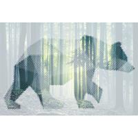A.S. CREATIONS A.s.creations - DD118110 BearForest1 Atelier 47 fototapete tiere natur 270 x 400 cm (4 Teile) Online Fototapeten bestellen - Grün, Weiß