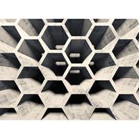A.S. CREATIONS A.s.creations - DD118740 HoneycombStructure2 Designwalls fototapete 3d betonoptik 255 x 350 cm (4 Teile) Fototapeten bei BRICOFLOR kaufen - Grau,