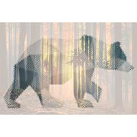 A.S. CREATIONS A.s.creations - DD118115 BearForest2 Atelier 47 fototapete tiere natur 270 x 400 cm (4 Teile) Online Fototapeten bestellen - Orange / Terrakotta, Weiß