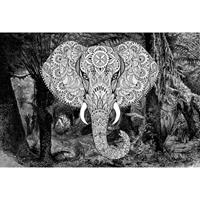 A.S. CREATIONS A.s.creations - DD118120 ElephantHead1 Atelier 47 fototapete tiere orientalisch wald natur 270 x 400 cm (4 Teile) Fototapeten Online-Shop - Grau, Weiß