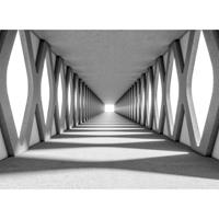 A.S. CREATIONS A.s.creations - DD118744 GreyAisle Designwalls fototapete 3d betonoptik 255 x 350 cm (4 Teile) Online Fototapeten bestellen - Grau, Weiß
