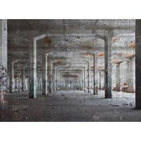 A.S. CREATIONS A.s.creations - DD118746 ConcretePosts Designwalls fototapete betonoptik modern 255 x 350 cm (4 Teile) Fototapeten Online-Shop - Braun, Grau
