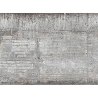 A.S. CREATIONS A.s.creations - DD118750 ConcreteWall Designwalls fototapete betonoptik modern 255 x 350 cm (4 Teile) Online Fototapeten bestellen - Braun, Grau