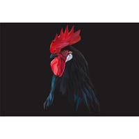 A.S. CREATIONS A.s.creations - DD108925 LeCoqPolygon AP Digital 4 fototapete tiere 270 x 400 cm (4 Teile) Jetzt Fototapeten günstig kaufen - Rot, Schwarz / Anthrazit