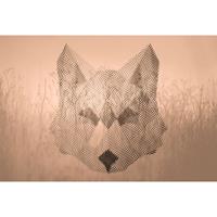 A.S. CREATIONS A.s.creations - DD118165 FoxGraphic2 Atelier 47 fototapete tiere grafik modern 270 x 400 cm (4 Teile) Online Fototapeten bestellen - Beige / Crème,