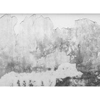 A.S. CREATIONS A.s.creations - DD118766 BrittleWall Designwalls fototapete betonoptik 255 x 350 cm (4 Teile) Fototapeten online entdecken - Grau, Weiß