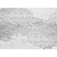 A.S. CREATIONS A.s.creations - DD118770 OldBrickWall Designwalls fototapete betonoptik modern steinoptik 255 x 350 cm (4 Teile) Fototapeten Online-Shop - Grau