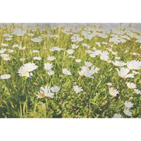 A.S. CREATIONS A.s.creations - DD108980 FlowerConcrete AP Digital 4 fototapete blumen blumenwiese natur 270 x 400 cm (4 Teile) Fototapeten bei BRICOFLOR kaufen