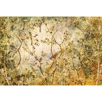 A.S. CREATIONS A.s.creations - DD118215 Paradise3 Atelier 47 fototapete tiere vögel natur orientalisch 270 x 400 cm (4 Teile) Fototapeten online entdecken - Gelb,