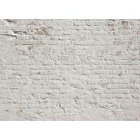 A.S. CREATIONS A.s.creations - DD118785 BrickWhite Designwalls fototapete steinoptik 255 x 350 cm (4 Teile) Jetzt Fototapeten günstig kaufen - Grau, Weiß