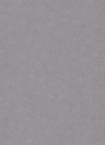 dutchwallcoverings Dutch Wallcoverings Behang Carat Deluxe Uni Zilver 10079-37