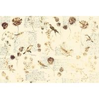A.S. CREATIONS A.s.creations - DD118230 BirdPoesie3 Atelier 47 fototapete tiere vögel natur blumen 270 x 400 cm (4 Teile) Fototapeten Online-Shop - Beige / Crème,