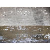 A.S. CREATIONS DD118788 ConcreteCoated Designwalls fototapete betonoptik modern 255 x 350 cm (4 Teile) Fototapeten Online-Shop - Braun, Grau