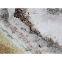 A.S. CREATIONS A.s.creations - DD118792 RoseQuartz Designwalls fototapete marmor steinoptik modern 255 x 350 cm (4 Teile) Fototapeten Online-Shop - Schwarz /