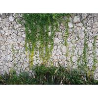 A.S. CREATIONS A.s.creations - DD118793 Stonewall Designwalls fototapete steinoptik modern natur 255 x 350 cm (4 Teile) Jetzt Fototapeten günstig kaufen - Grau, Grün