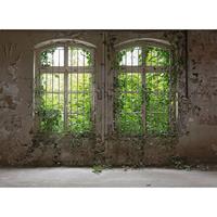 A.S. CREATIONS A.s.creations - DD118794 OldWindow Designwalls fototapete fenster betonoptik natur 255 x 350 cm (4 Teile) Online Fototapeten bestellen - Grau, Grün