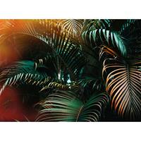 A.S. CREATIONS A.s.creations - DD118795 JungleColour Designwalls fototapete palmen regenwald natur dschungel 255 x 350 cm (4 Teile) Jetzt Fototapeten günstig kaufen