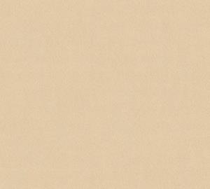 ascreation AS Creation Styleguide Trend Colours 2021 | 353160