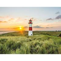 A.S. CREATIONS A.s.creations - AS403702 LeuchtturmamMeer Design Print fototapete leuchtturm meer ostsee strand 260 x 336 cm (4 Teile) Online Fototapeten bestellen