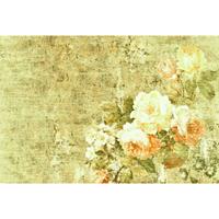 A.S. CREATIONS A.s.creations - DD118355 Bouquet3 Atelier 47 fototapete blumen rosen natur 270 x 400 cm (4 Teile) Fototapeten bei BRICOFLOR kaufen - Grün, Pink / Rosa