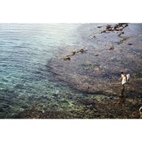 A.S. CREATIONS DD109195 SurferinBali AP Digital 4 fototapete meer 270 x 400 cm (4 Teile) Online Fototapeten bestellen - Blau, Braun