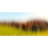 A.S. CREATIONS A.s.creations - DD118415 Diff.TreeRow1 Atelier 47 fototapete landschaft abstrakt modern 270 x 500 cm (5 Teile) Fototapeten Online-Shop - Grün, Orange