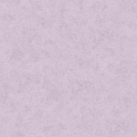 A.S. CREATIONS Tapete einfarbig Tapete uni Tapeten Wohnzimmer Violett Lila Vliestapete Violett Lila 116062 11606-2 - Violett / Lila