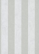 dutchwallcoverings Dutch Wallcoverings Behang Carat Deluxe Streep Wit/Zilver 10077-31