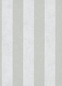 dutchwallcoverings Dutch Wallcoverings Behang Carat Deluxe Streep Wit/Zilver 10077-31