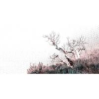 A.S. CREATIONS A.s.creations - DD116900 DeathTree3 Atelier 47 fototapete baum 270 x 600 cm (6 Teile) Fototapeten Online-Shop - Pink / Rosa, Weiß