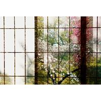 A.S. CREATIONS A.s.creations - Fototapete orchard 1 DD113727 Livingwalls Walls by Patel Vliestapete Grün Rosa Rot Schwarz Weiss - Beige, Braun, Grün