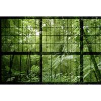 A.S. CREATIONS A.s.creations - Fototapete rainforest 2 DD113742 Livingwalls Walls by Patel Vliestapete Grün Schwarz - Beige, Braun, Gelb