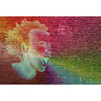 A.S. CREATIONS A.s.creations - DD117170 Scream1 Atelier 47 fototapete steinoptik 270 x 400 cm (4 Teile) Fototapeten online entdecken - Braun, Bunt