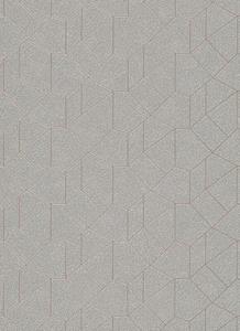 dutchwallcoverings Dutch Wallcoverings Behang Carat Deluxe Dessin Zilver/Beige 10062-02